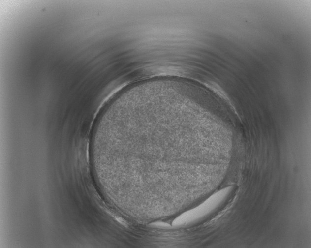 X0000066940790200604142022