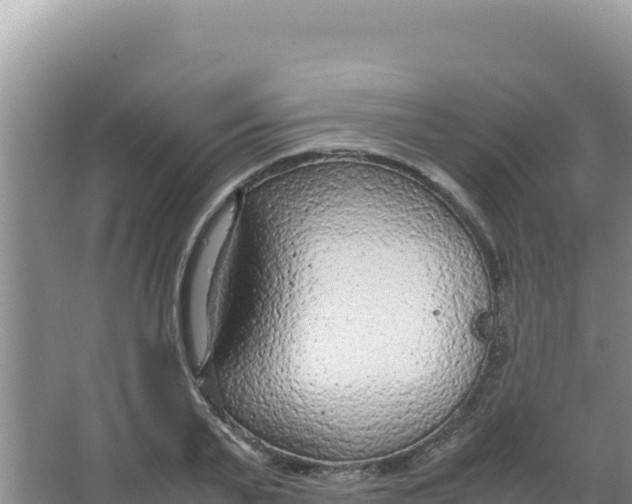 X0000066940791200604142022