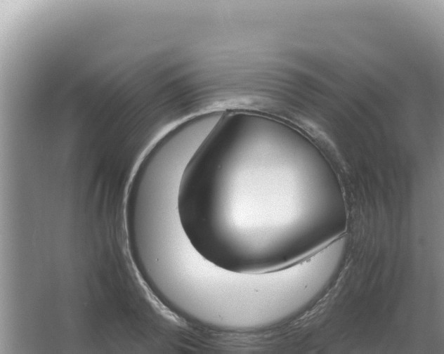 X0000066940792200604142022