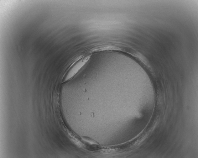 X0000066940793200604142022