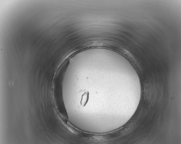 X0000066940794200604142022