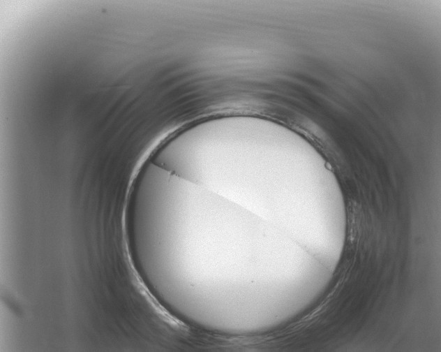 X0000066940796200604142022