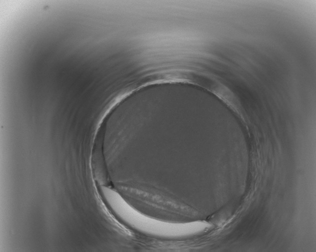 X0000066940797200604142022