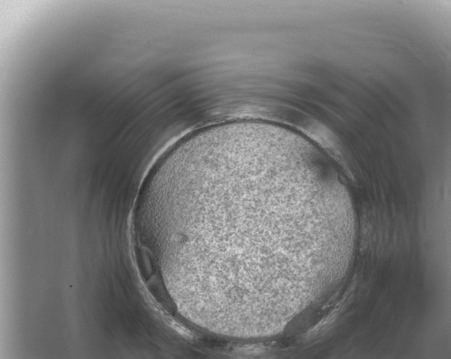 X0000066940798200604142022