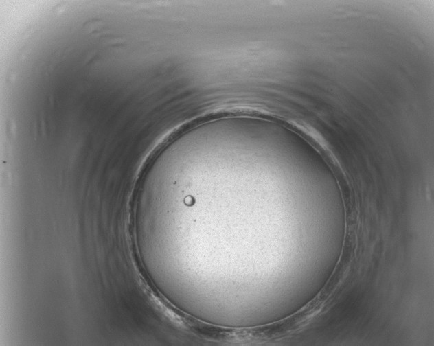 X0000066940799200604142022