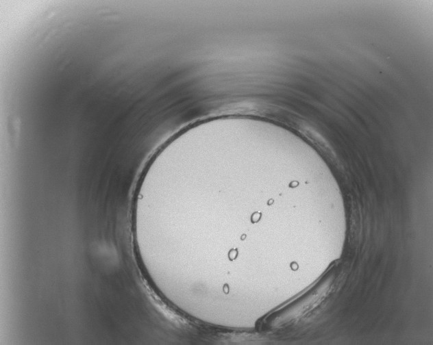 X0000066940800200604142022