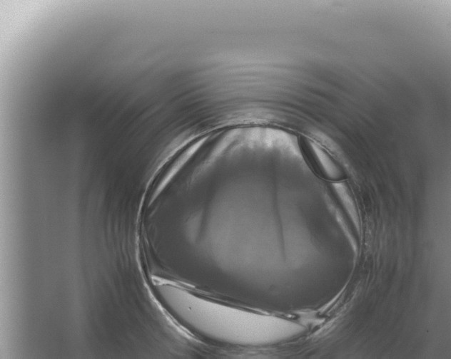 X0000066940802200604142022