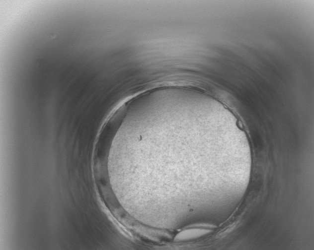 X0000066940803200604142022