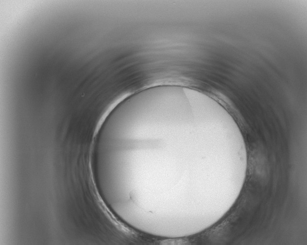 X0000066940804200604142022