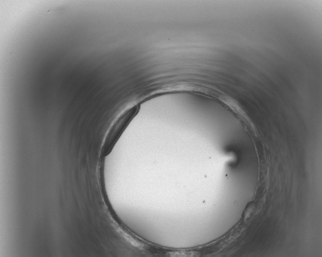 X0000066940805200604142022