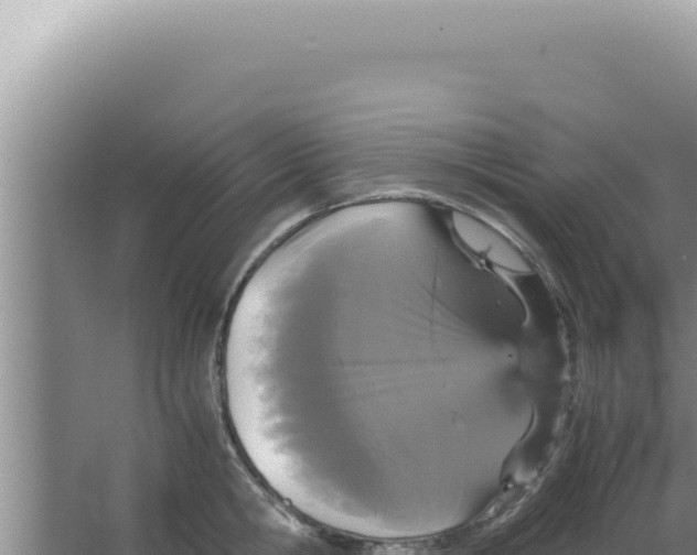 X0000066940806200604142022