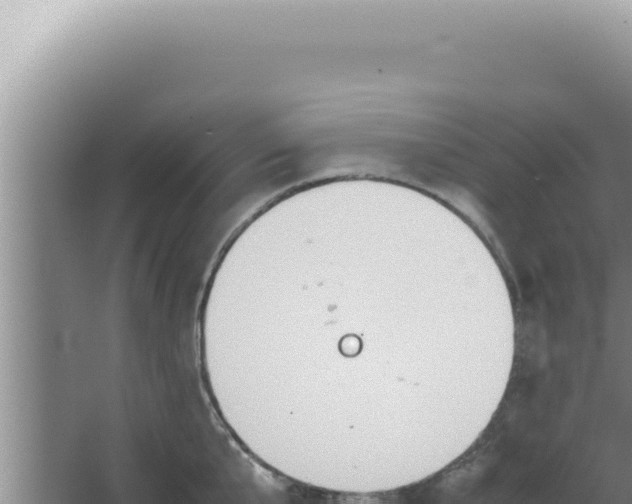 X0000066940807200604142022