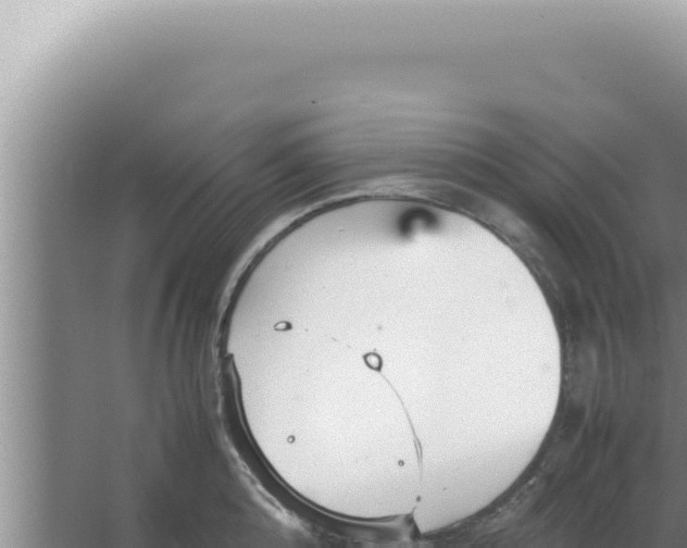 X0000066940808200604142022