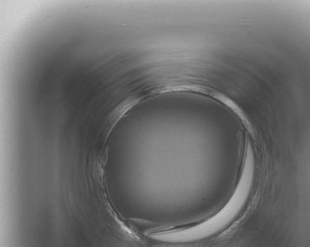 X0000066940809200604142022