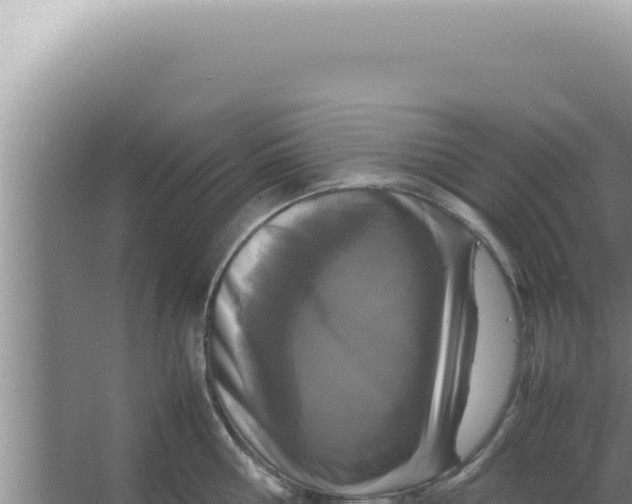 X0000066940810200604142022