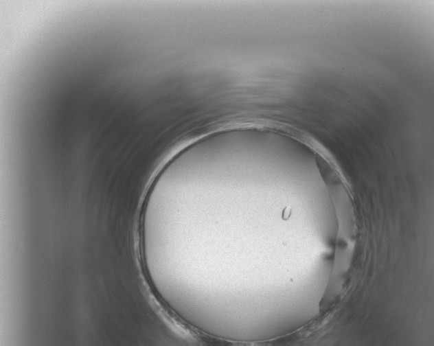 X0000066940811200604142022