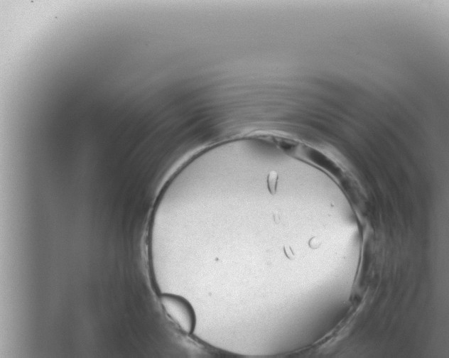 X0000066940814200604142022