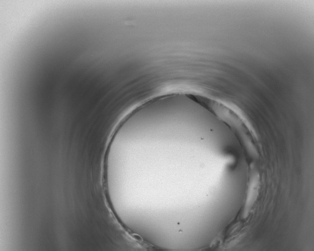 X0000066940815200604142022