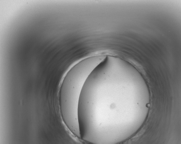 X0000066940816200604142022