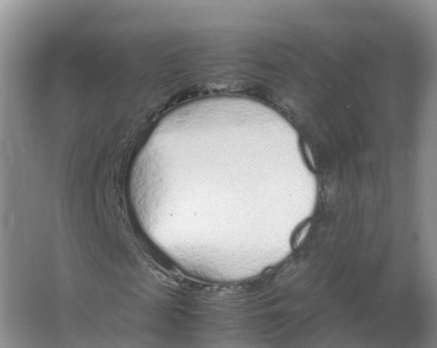 X0000066940817200604142021