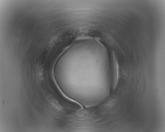 X0000066940818200604142021