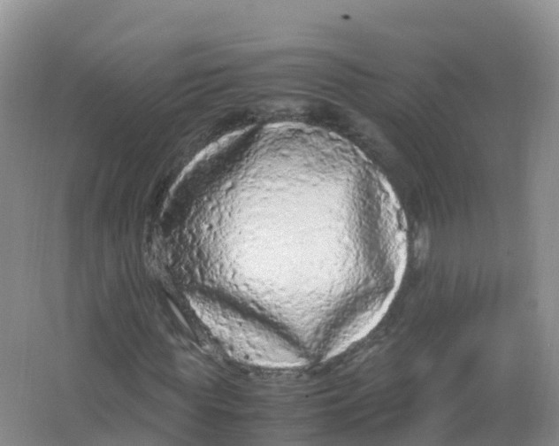 X0000066940819200604142021