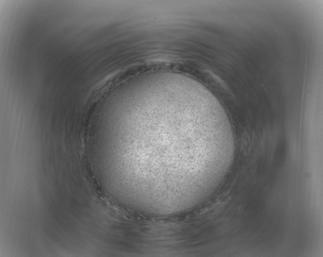 X0000066940821200604142021