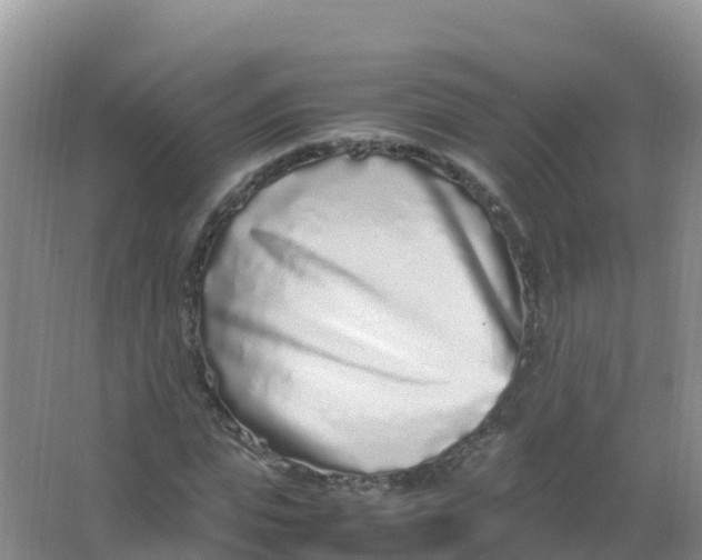 X0000066940823200604142021