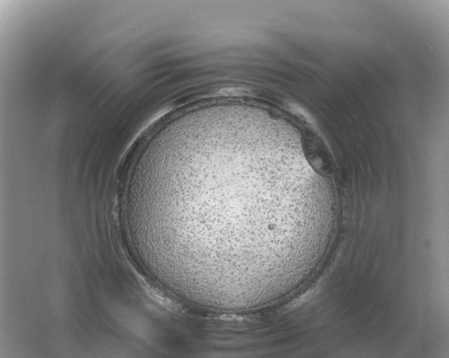 X0000066940827200604142021