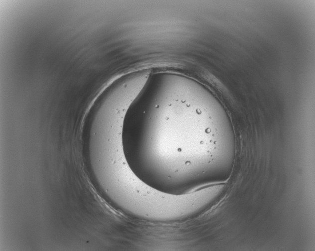 X0000066940828200604142021