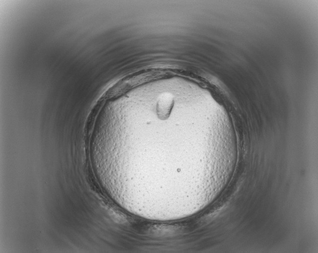 X0000066940829200604142021