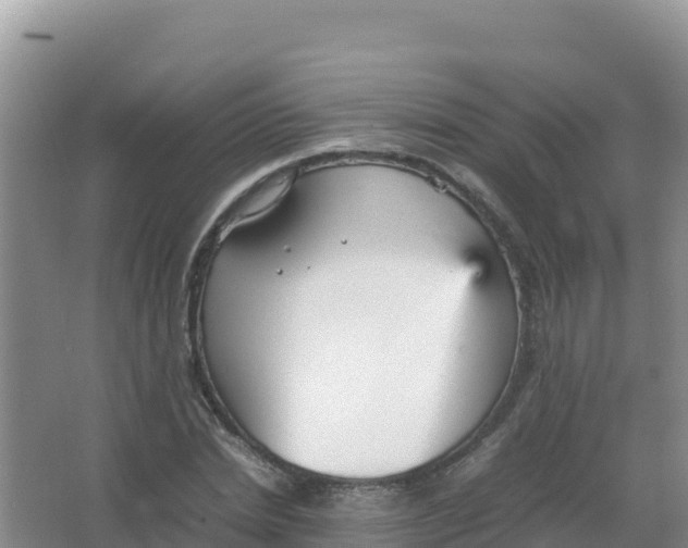 X0000066940830200604142021