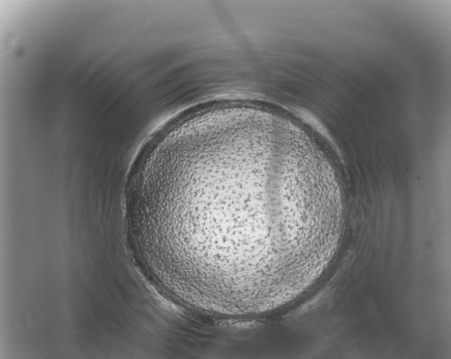 X0000066940831200604142021