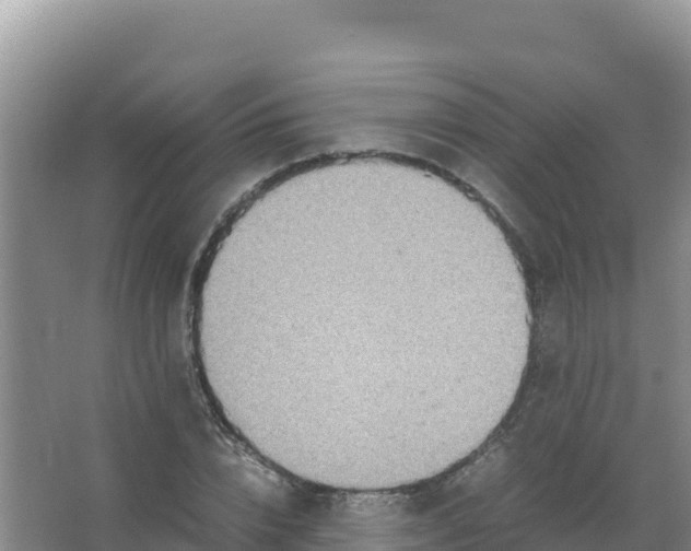 X0000066940832200604142021