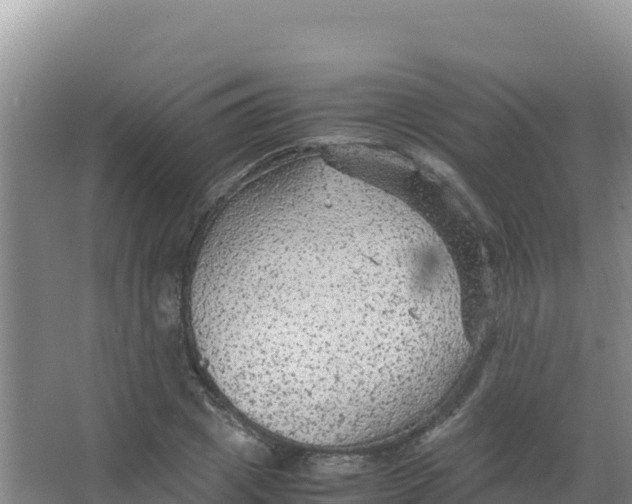 X0000066940833200604142021