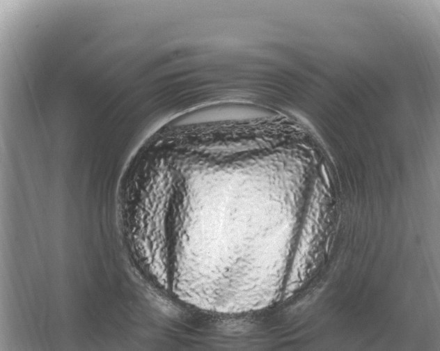 X0000066940835200604142021