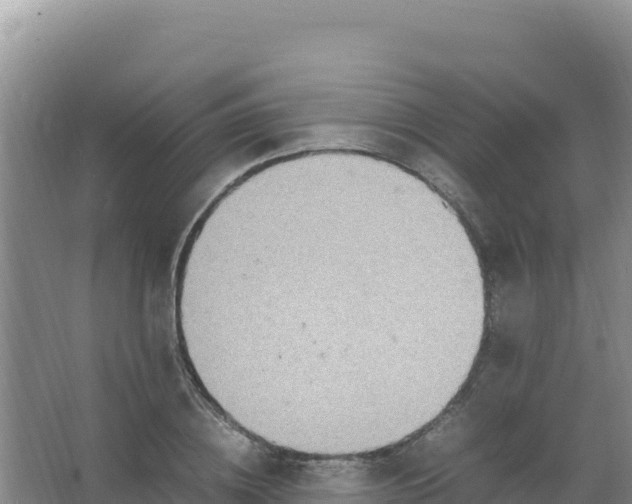 X0000066940836200604142021