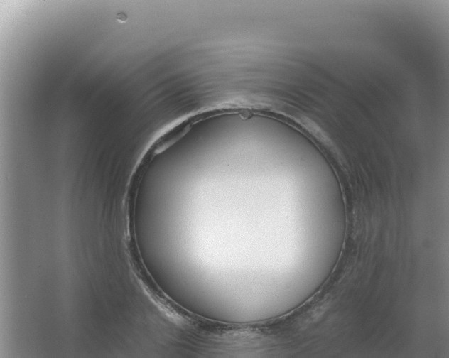 X0000066940838200604142021