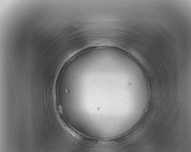 X0000066940840200604142021