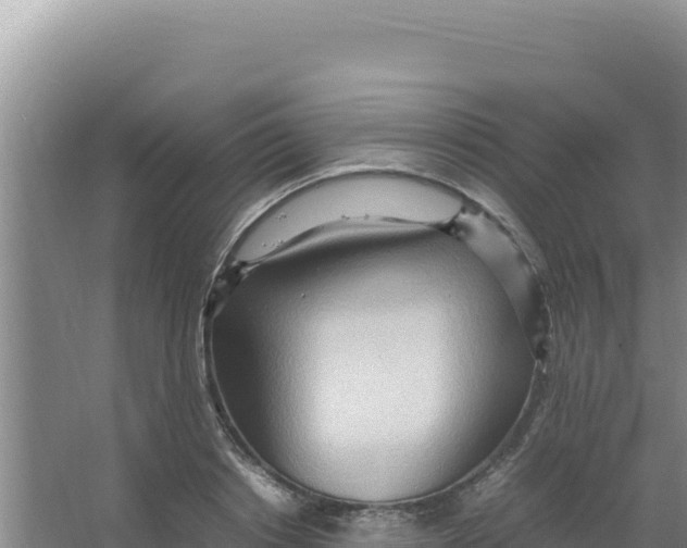 X0000066940842200604142021