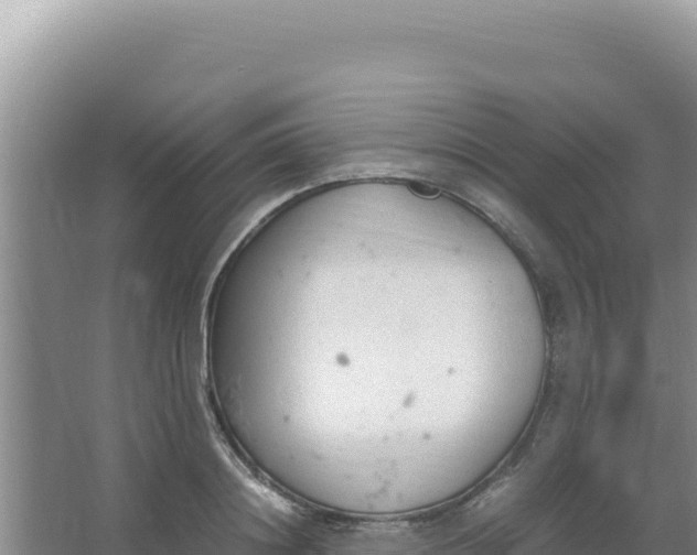 X0000066940844200604142021