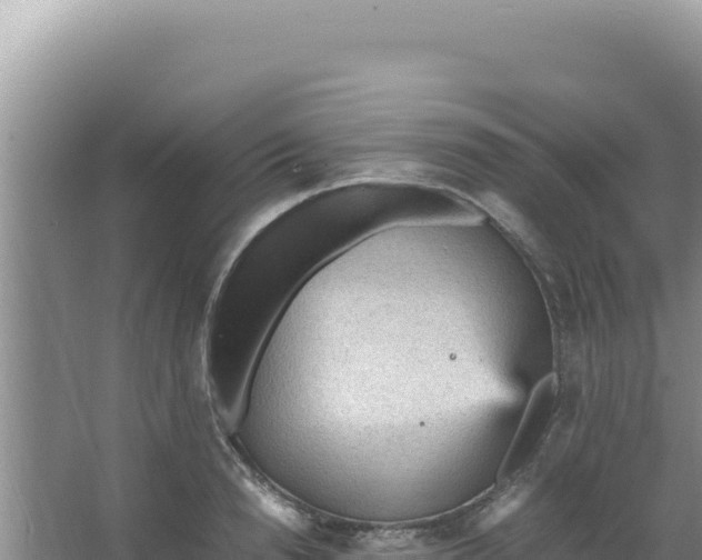 X0000066940846200604142021