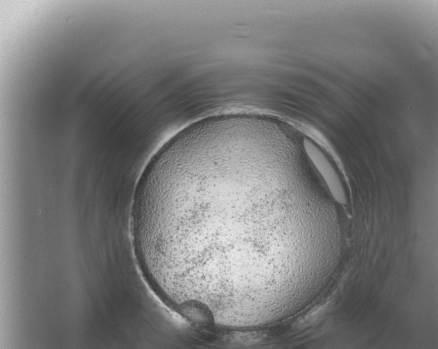 X0000066940847200604142021