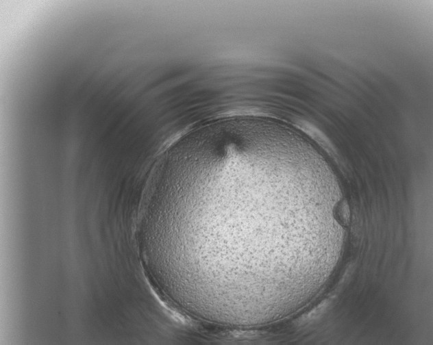 X0000066940849200604142021