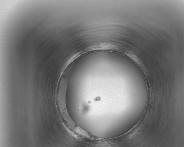 X0000066940850200604142022