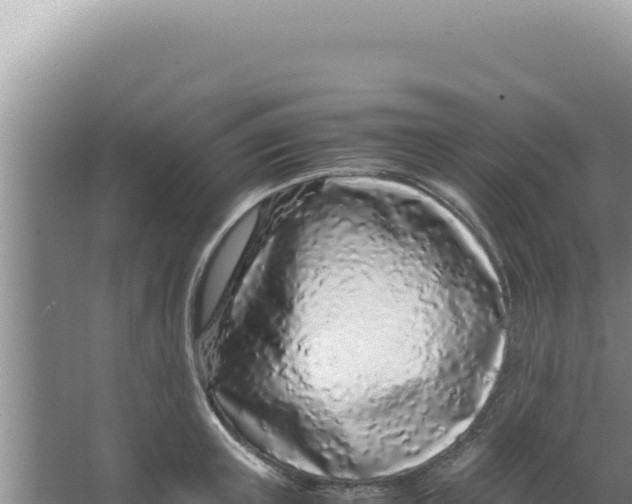 X0000066940851200604142022