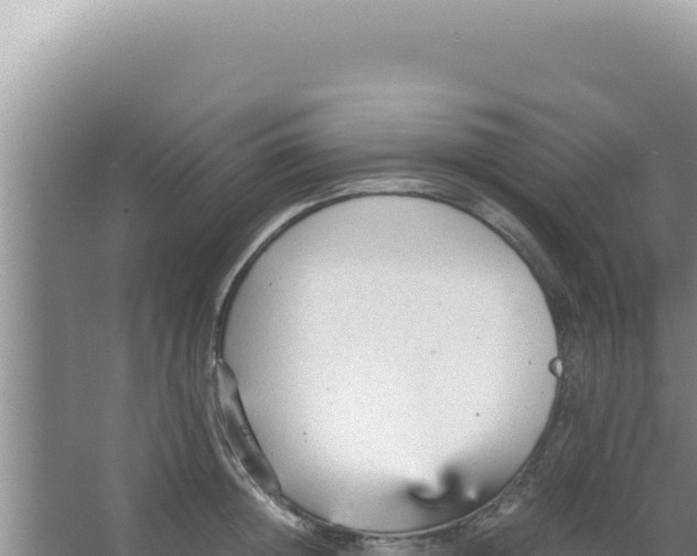 X0000066940852200604142022