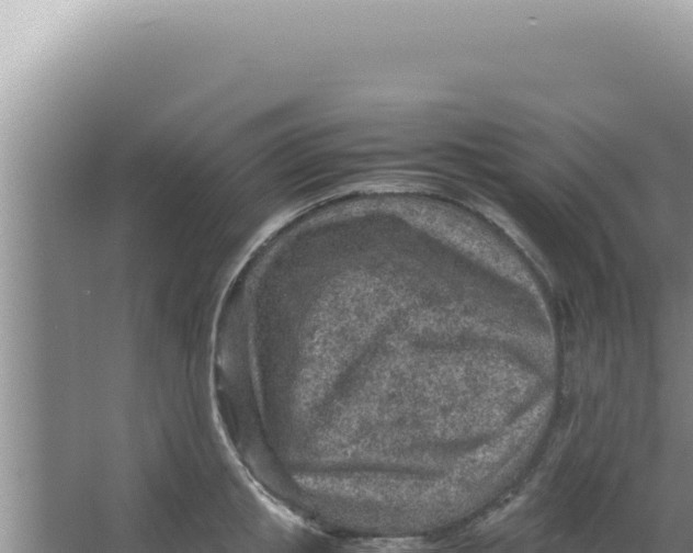 X0000066940853200604142022