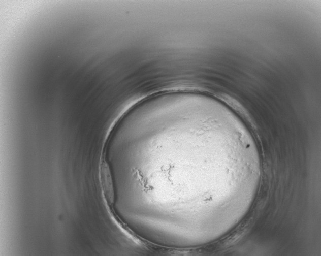 X0000066940855200604142022