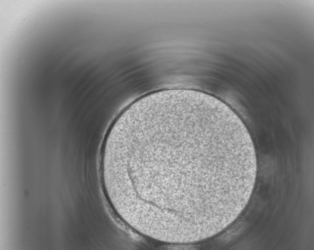 X0000066940856200604142022